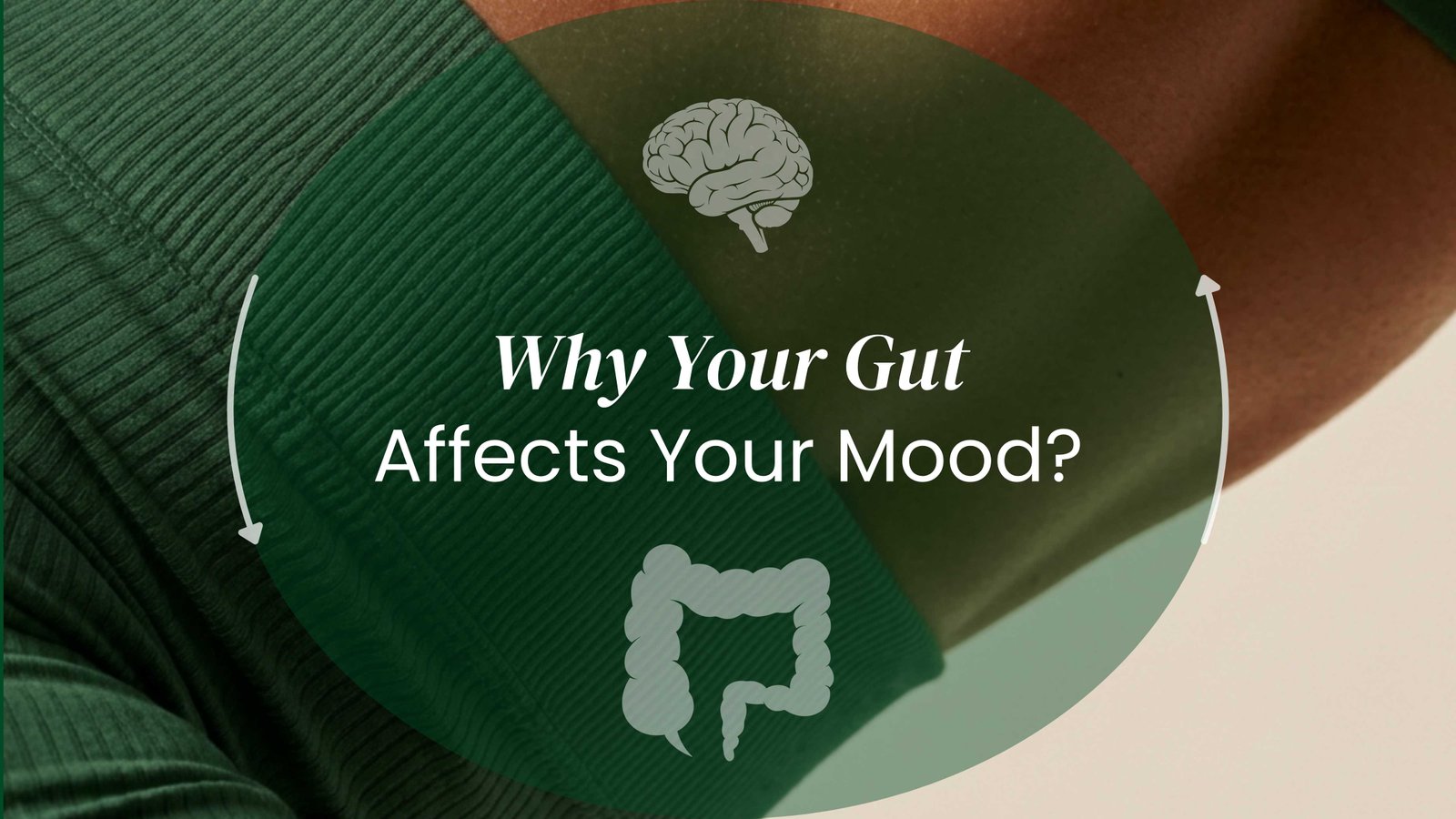 The Gut-Brain Axis: How Your Gut Controls Your Mood, Focus, and Energy, Third Biome Journal