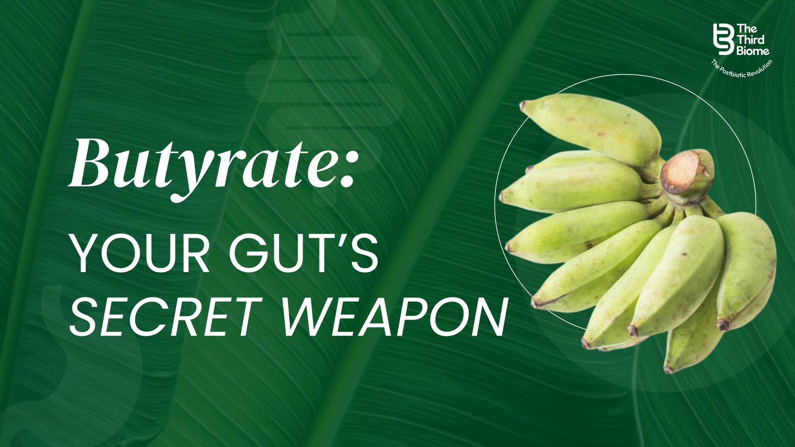 What Is Butyrate? The Gut Molecule Every Indian  Needs to Know, Third Biome Journal